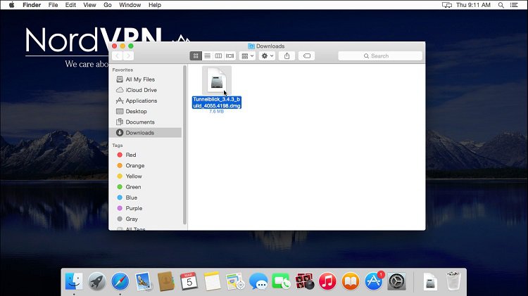 OpenVPN Client 2.6.5 for apple instal